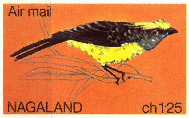 Sultan tit (Melanochlora sultanea)