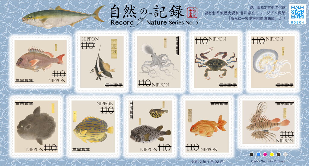 Record of Nature (Series 5) : Illustrations from Shuurinzu