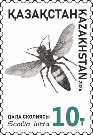 Stamp, Scolia hirta, Kazakhstan,  , Animals (Fauna), Insects