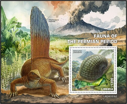 Bellerophon jonessianus
