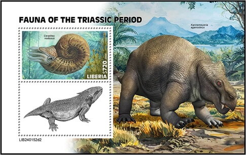 Ceratites nodosus