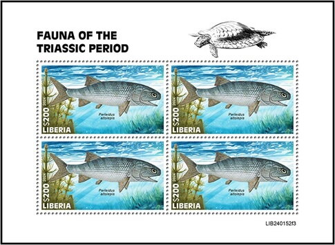 Perleidus altolepis
