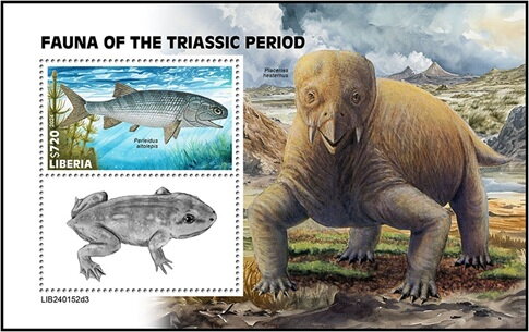 Perleidus altolepis