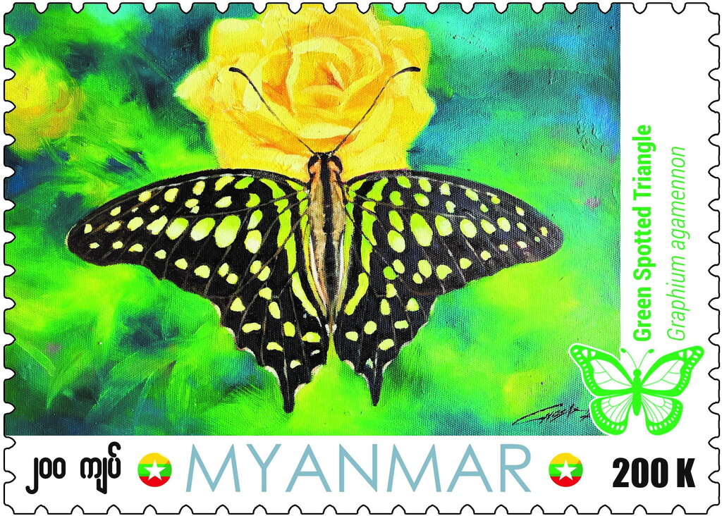 Green Spotted Triangle (Graphium agamemnon)