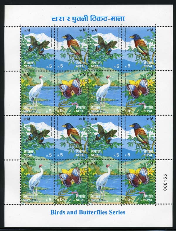 Birds and Butterflies