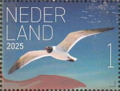 Experience Nature : Birds of Saint Eustatius