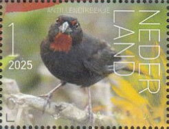 Stamp, Experience Nature : Birds of Saint Eustatius, Netherlands,  , Animals (Fauna), Birds