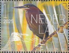 Experience Nature : Birds of Saint Eustatius