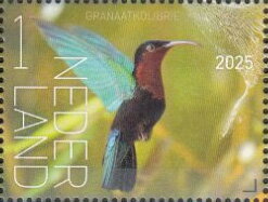 Experience Nature : Birds of Saint Eustatius