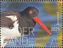 Stamp, Experience Nature : Birds of Saint Eustatius, Netherlands,  , Animals (Fauna), Birds