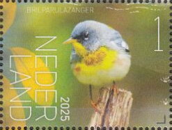 Stamp, Experience Nature : Birds of Saint Eustatius, Netherlands,  , Animals (Fauna), Birds