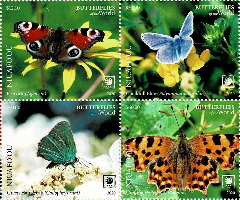Butterflies of the World