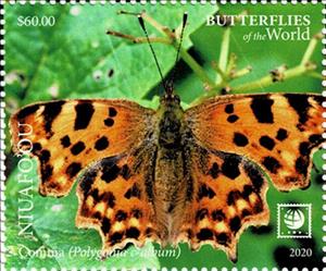 Stamp, Comma (Polygonia c-album), Niuafo'ou,  , Animals (Fauna), Butterflies and Moths, Insects