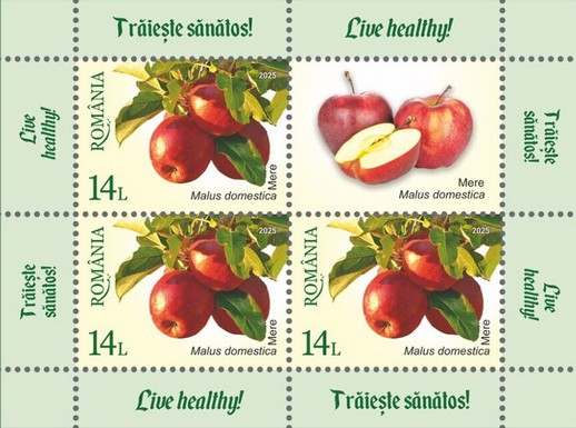Apples (Malus domestica)