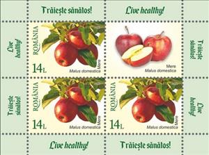 Mini Sheet, Apples (Malus domestica), Romania,  , Fruits and Berries