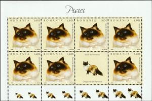 Mini Sheet, Burmese (Felis silvestris catus) MS2, Romania,  , Animals (Fauna), Cats, Mammals