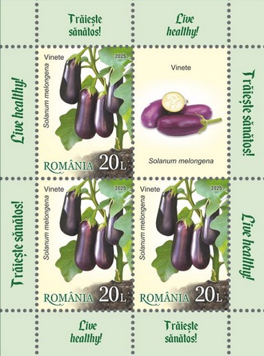 Eggplant (Solanum melongena)