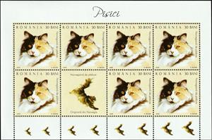 Mini Sheet, Norwegian Forest Cat (Felis silvestris catus) MS2, Romania,  , Animals (Fauna), Cats, Mammals