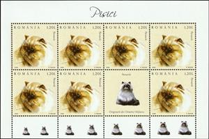 Mini Sheet, Persian Cat (Felis silvestris catus) MS2, Romania,  , Animals (Fauna), Cats, Mammals