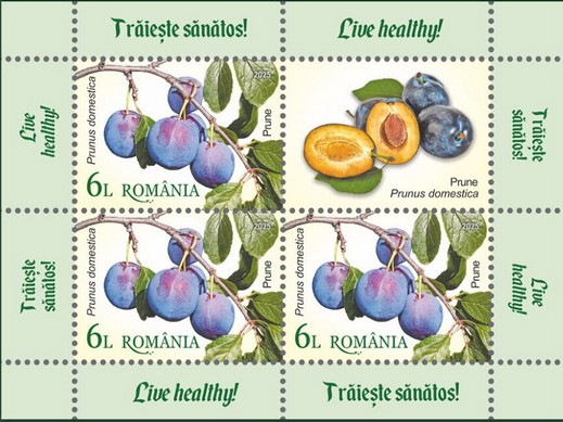 Plums (Prunus domestica)