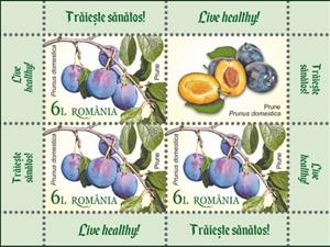 Mini Sheet, Plums (Prunus domestica), Romania,  , Fruits and Berries