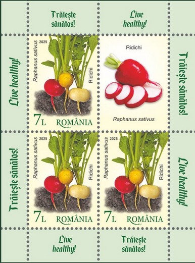 Radishes (Raphanus sativus)