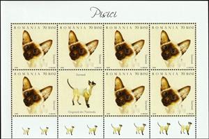 Mini Sheet, Siamese Cat (Felis silvestris catus) MS2, Romania,  , Animals (Fauna), Cats, Mammals