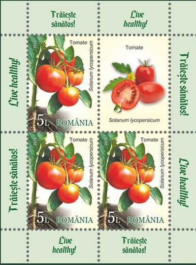 Tomato (Solanum lycopersicum)
