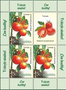 Mini Sheet, Tomato (Solanum lycopersicum), Romania,  , Vegetables