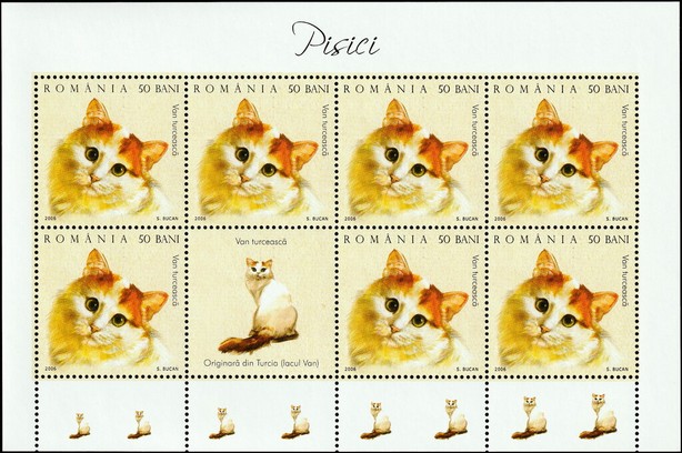 Turkish Van (Felis silvestris catus) MS2