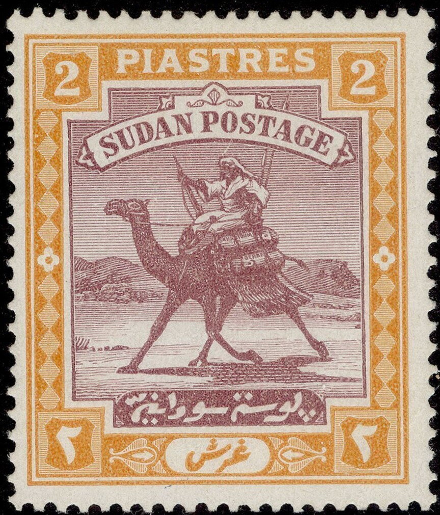 Postman with Dromedary (Camelus dromedarius)