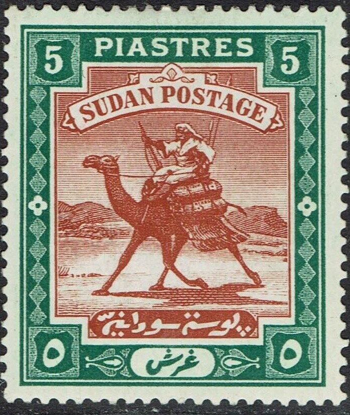 Postman with Dromedary (Camelus dromedarius)