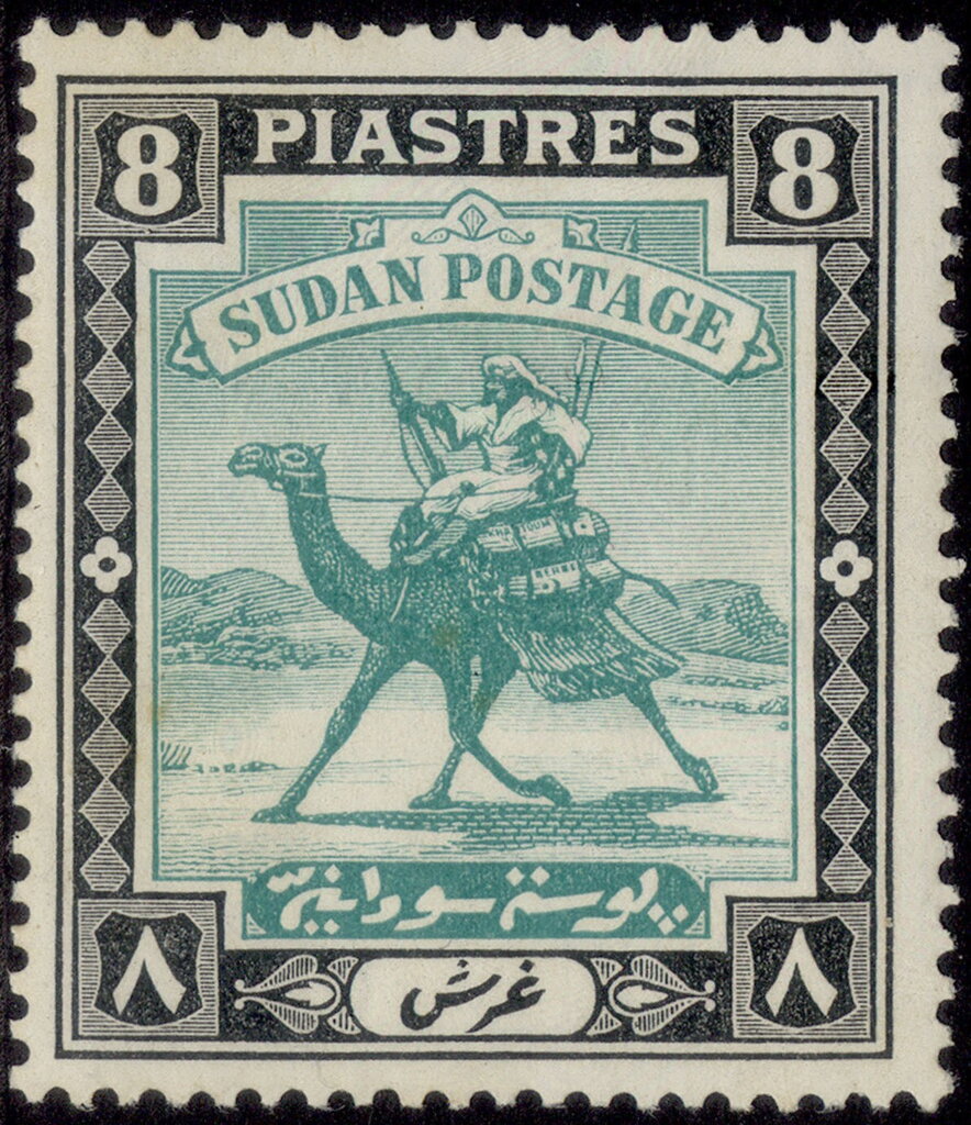 Postman with Dromedary (Camelus dromedarius)