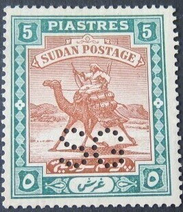 Postman with Dromedary (Camelus dromedarius)