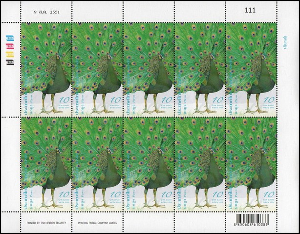 Green Peafowl (Pavo muticus)