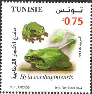 Stamp, Carthaginian Tree Frog (Hyla carthaginiensis), Tunisia,  , Animals (Fauna), Frogs