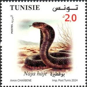 Stamp, Egyptian Cobra (Naja haje), Tunisia,  , Animals (Fauna), Reptiles, Snakes