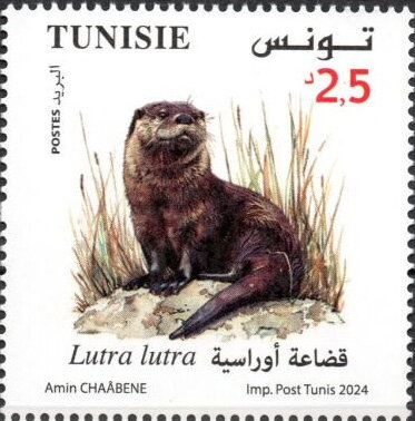 Eurasian Otter (Lutra lutra)