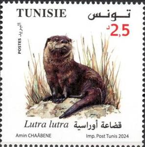 Stamp, Eurasian Otter (Lutra lutra), Tunisia,  , Animals (Fauna), Mammals, Otters
