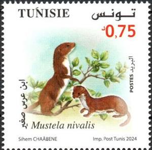 Stamp, Least Weasel (Mustela nivalis), Tunisia,  , Animals (Fauna), Mammals, Weasels