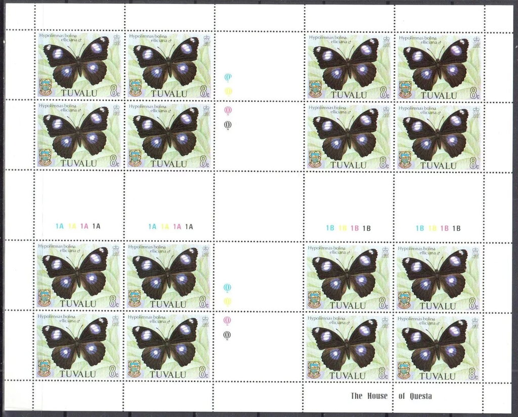 Common Eggfly (Hypolimnas bolina ssp. elliciana)