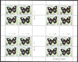 Full Pane, Common Eggfly (Hypolimnas bolina ssp. elliciana), Tuvalu,  , Animals (Fauna), Butterflies and Moths, Insects