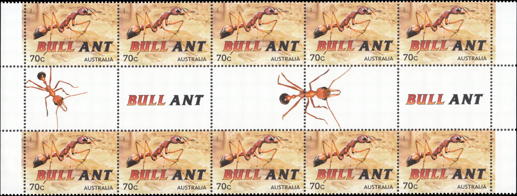 Bull Ant (Mymecia sp.) Gutter Strip