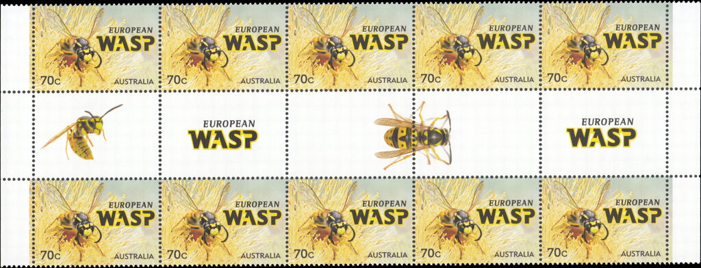 European Wasp (Vespula germanica) Gutter Strip