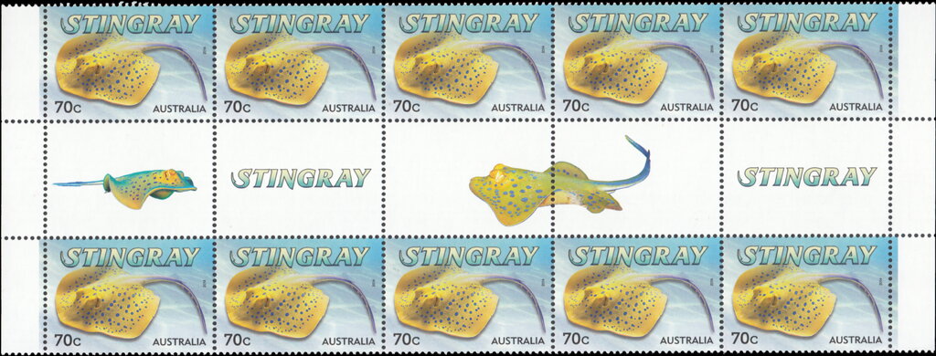 Stingray (Taeniura lymma) Gutter Strip