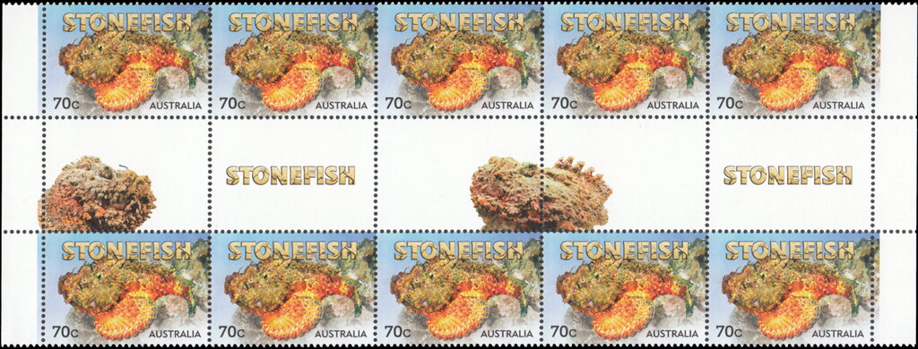 Stonefish (Synanceia verrucosa) Gutter Strip