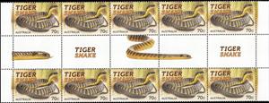 Gutter Pairs, Tiger Snake (Notechis scutatum) Gutter Strip, Australia,  , Animals (Fauna), Reptiles, Snakes