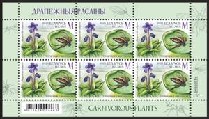Full Pane, Common butterwort, Belarus,  , Animals (Fauna), Plants (Flora)
