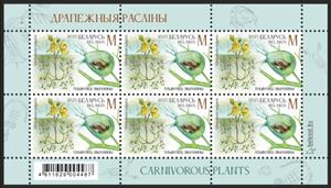 Full Pane, Greater bladderwort, Belarus,  , Animals (Fauna), Plants (Flora)