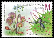 Stamp, Round-leaved sundew, Belarus,  , Animals (Fauna), Plants (Flora)